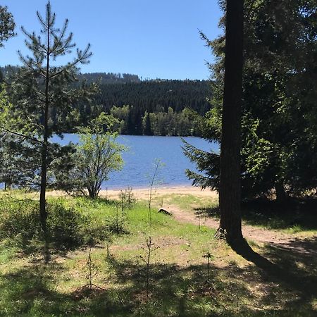 Rodinné ubytování Krauskopfovi Lipno nad Vltavou Exterior foto